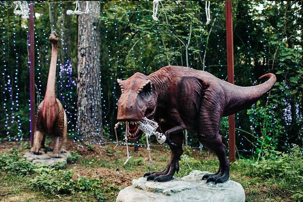 Fall Festival Dinosaurs