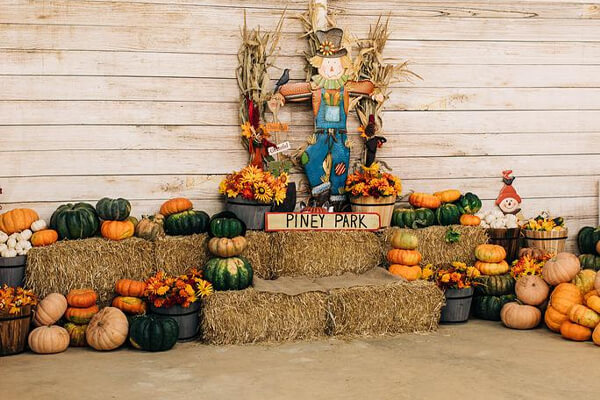 Fall Festival Photo Op