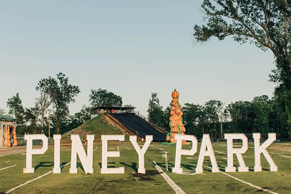 Fall Festival Piney Park Sign