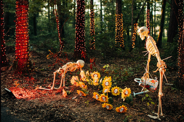 Fall Festival Skeletons Gardening