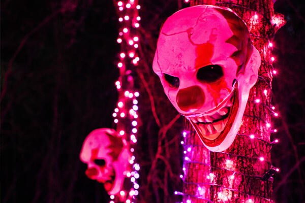 Fall Festival Spooky Trail Lights