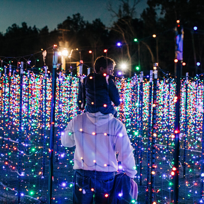 Guests In Light Maze Attraction