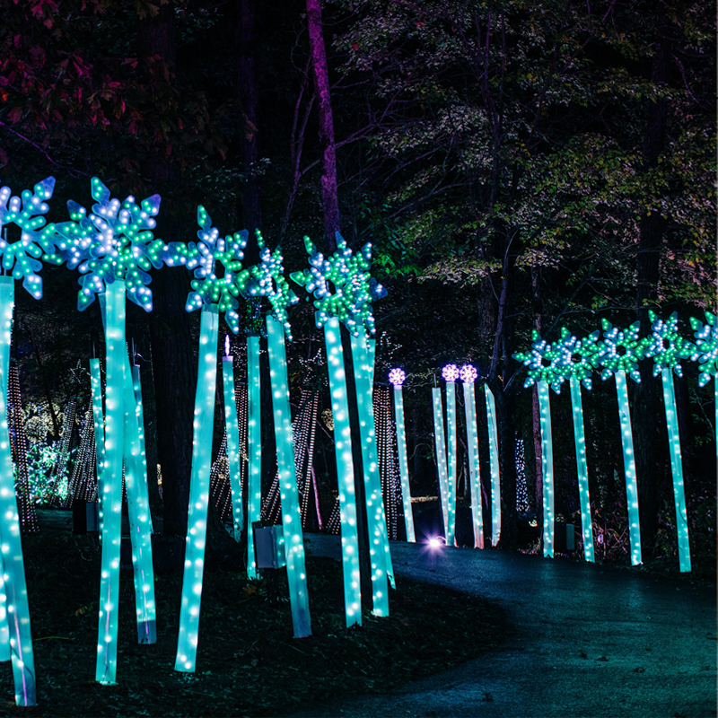 Winter Trail Of Lights
